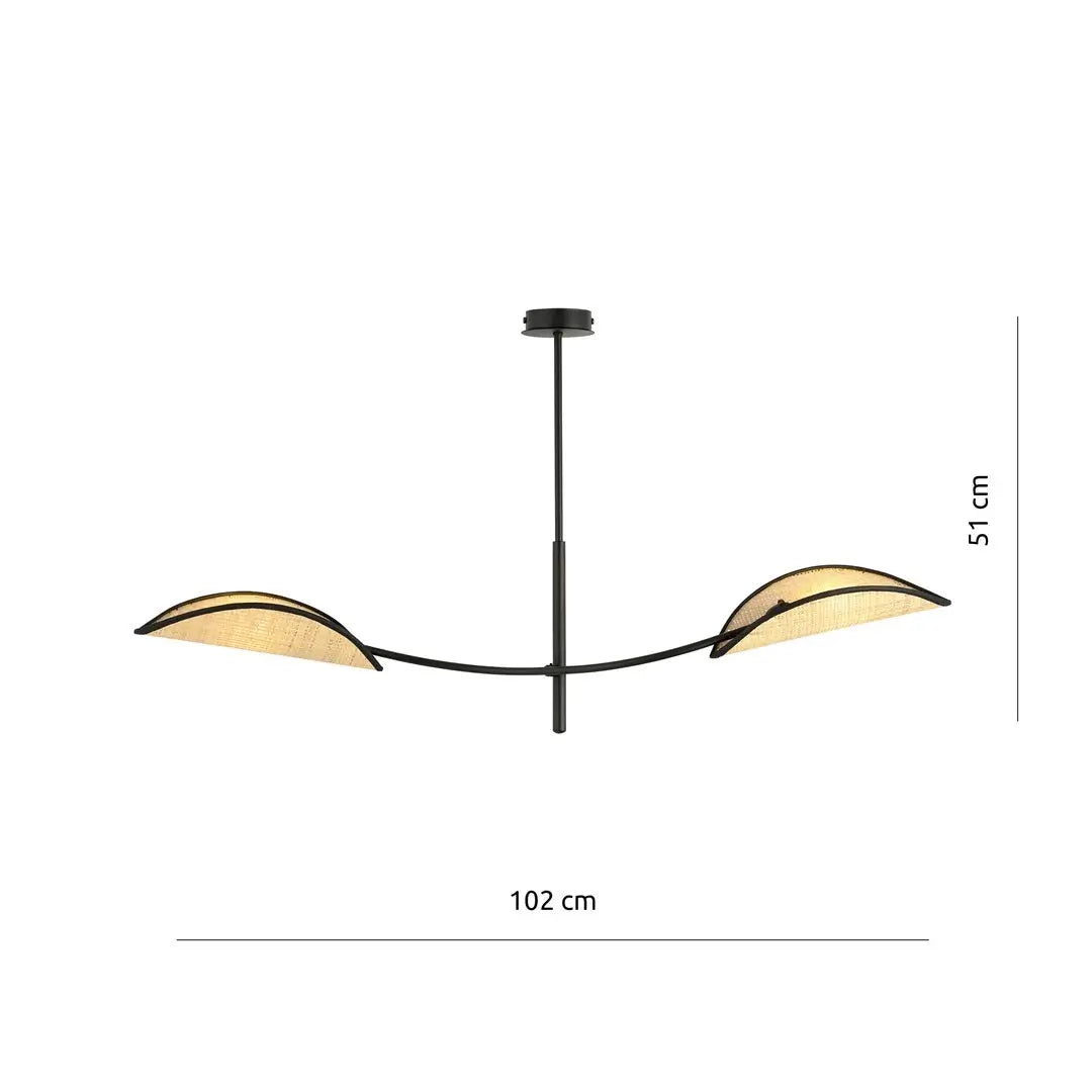 Schéma dimensions