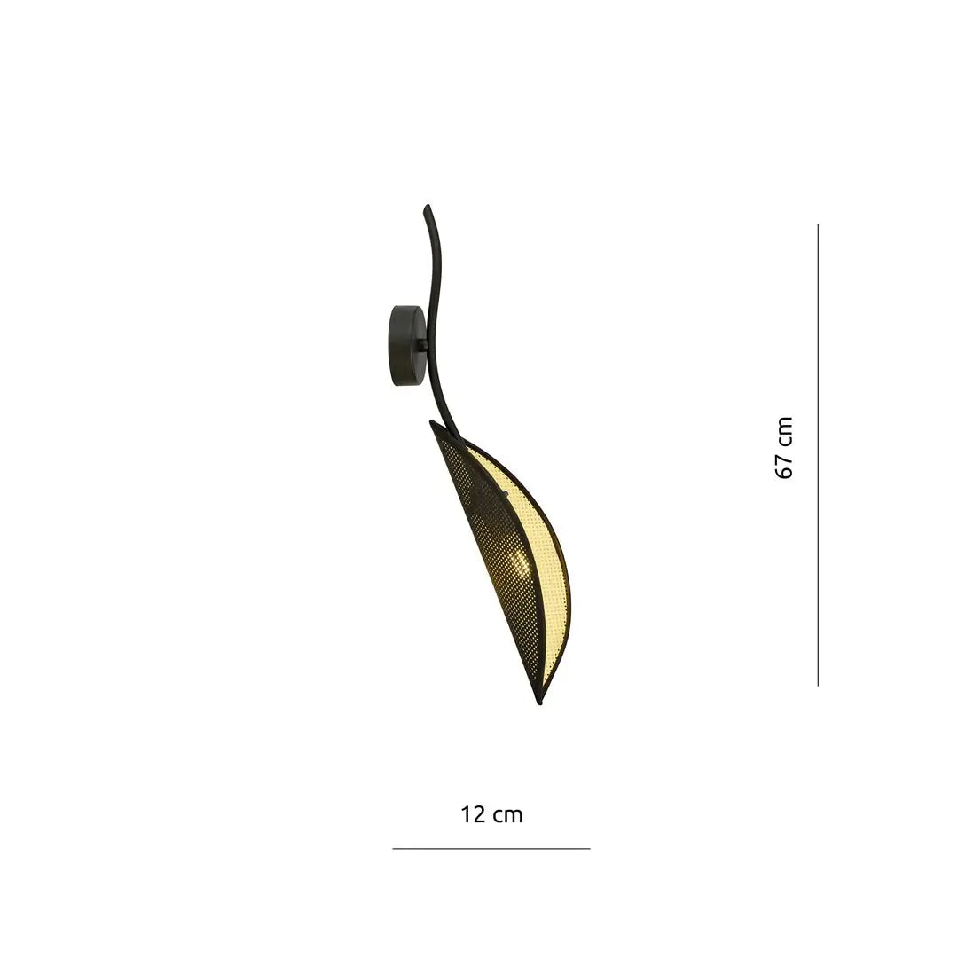 Schéma dimensions