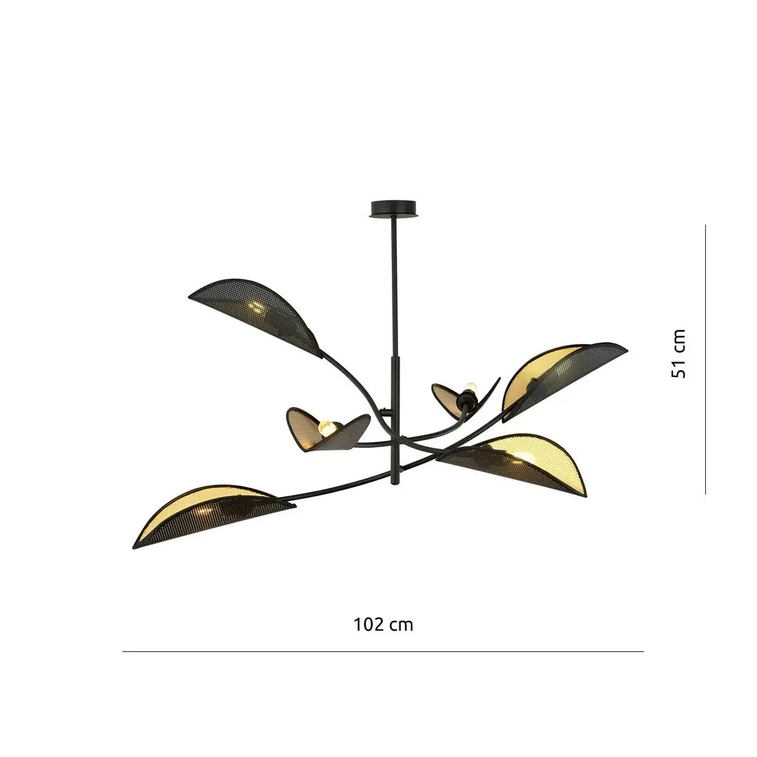 Schéma dimensions