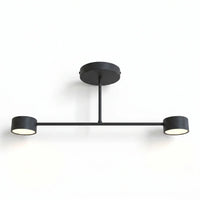 Plafonnier 2 Spots Noir Mat Scandinave