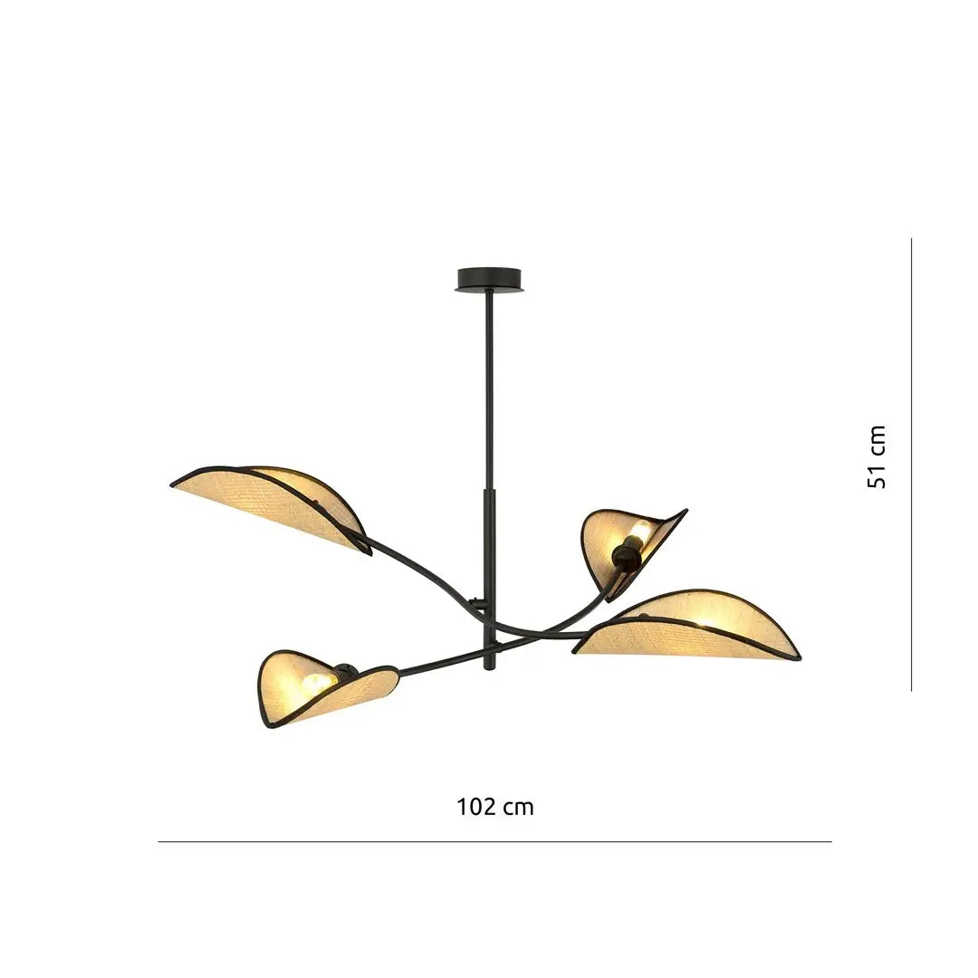 Schéma dimensions