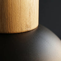 Suspension Globe Noir Bois Salon