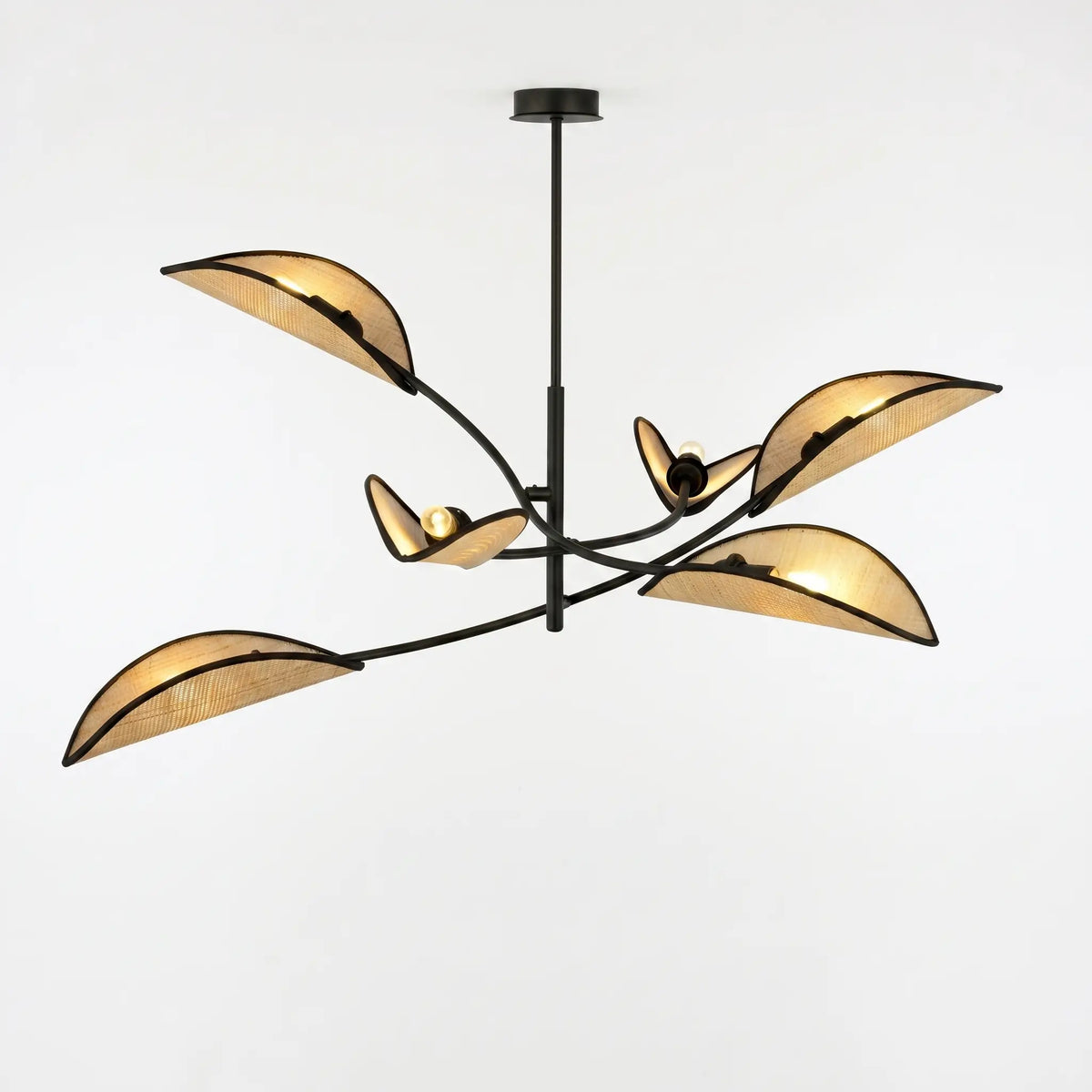  lustre rotin PALME six feuilles symétrique