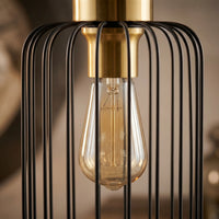Suspension Cage Noir Or Salon