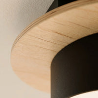 Plafonnier 3 Spots Noir Bois Salon