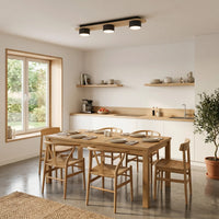 Plafonnier 3 Spots Noir Bois Salon