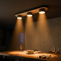 Plafonnier 3 Spots Noir Bois Salon
