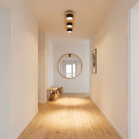 Plafonnier 3 Spots Noir Bois Salon