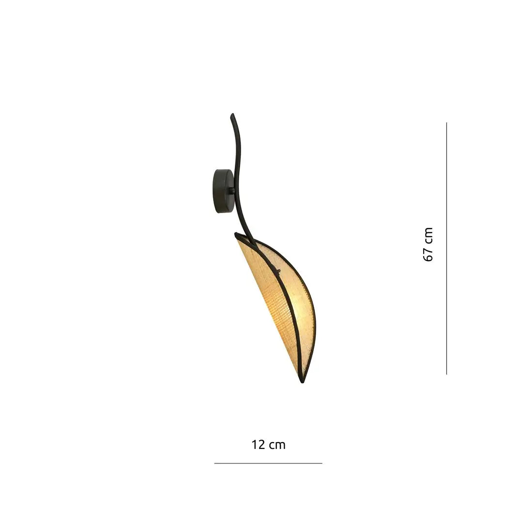 Schéma dimensions
