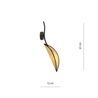 Schéma dimensions